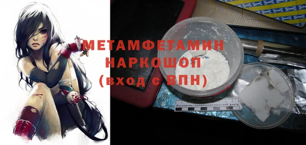 ГАЛЛЮЦИНОГЕННЫЕ ГРИБЫ Дмитриев