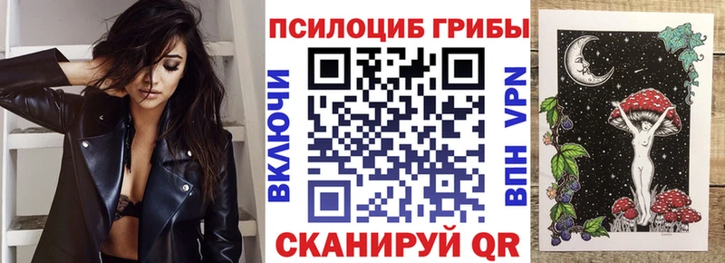 ссылка на мегу зеркало  Нерчинск  Псилоцибиновые грибы мухоморы 